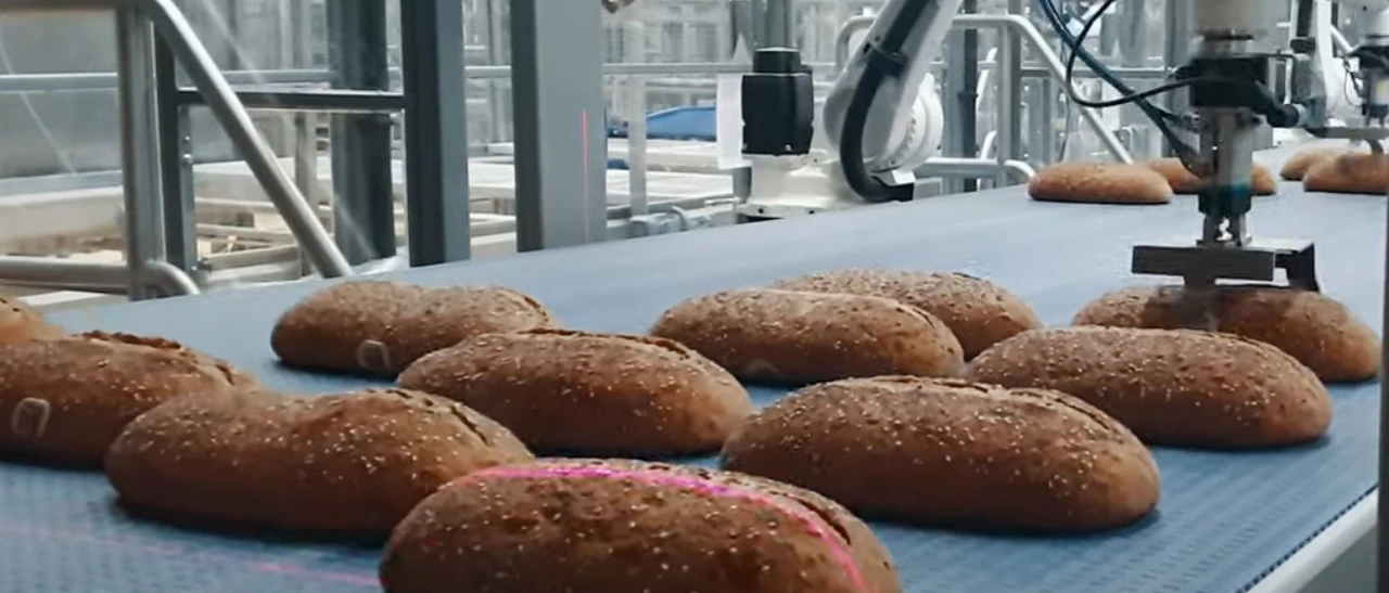 Fully automatic pick place line2