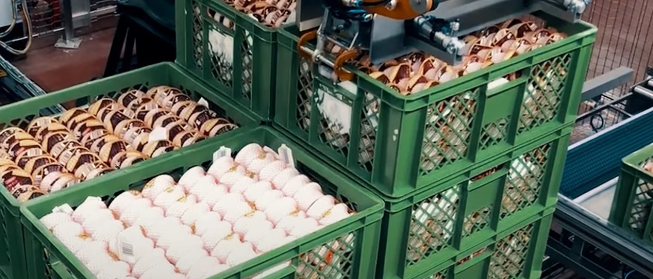 Palletizer special designed grippers1