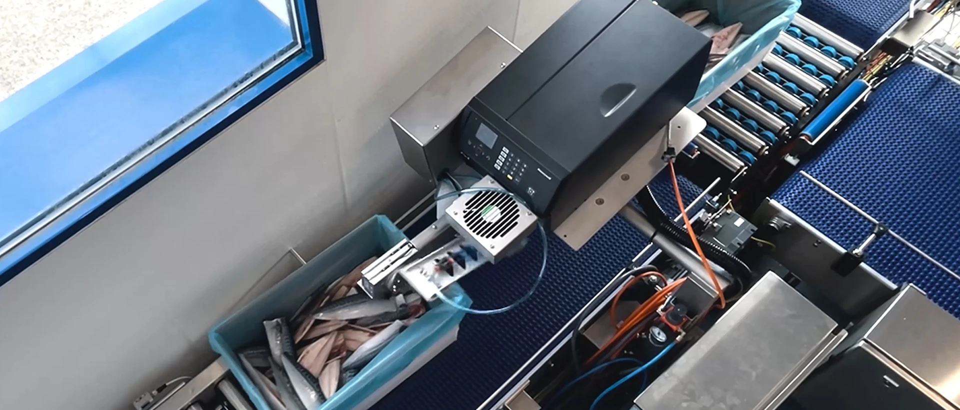 Header package frozen fish