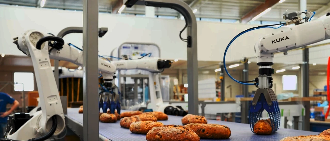 Pick place robot handling