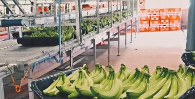 Niverplast Martinique large