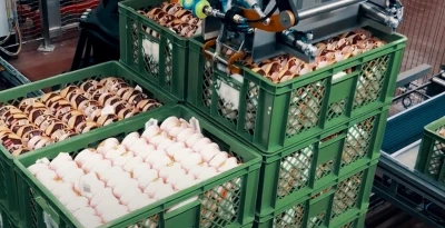 Palletizer special designed grippers1