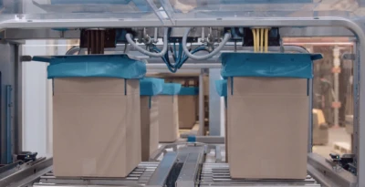 Crow of holland large