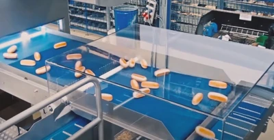 Bulkpacking2