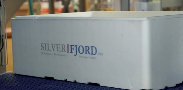 Polystyrene box processing