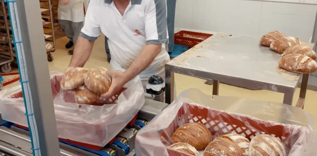 Head bread rolls into crates with bag