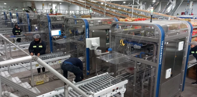 CherrySeal | Cherry packaging | Niverplast