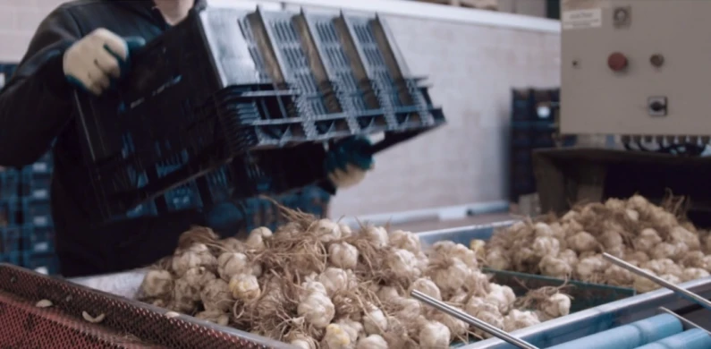 Niverplast | Bollen bag in box