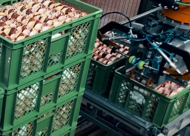 Palletizer special designed grippers2