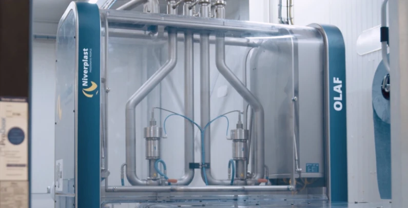 Crown of holland bottom pic