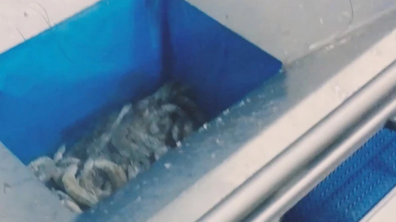 Niverplast Naaqua large