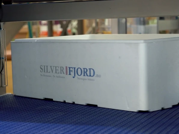 Polystyrene box processing