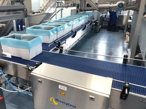 Frozen fish transport conveyor