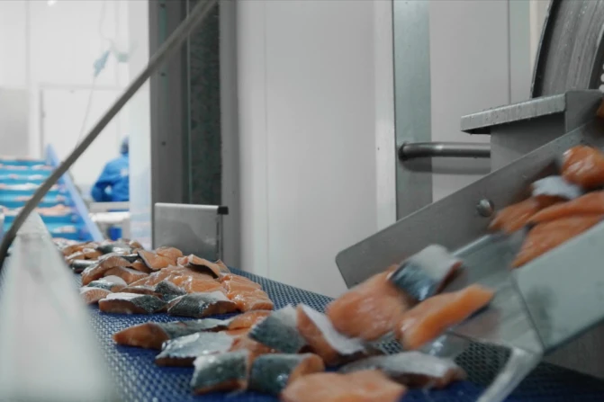 Noorzee International Salm Packaging