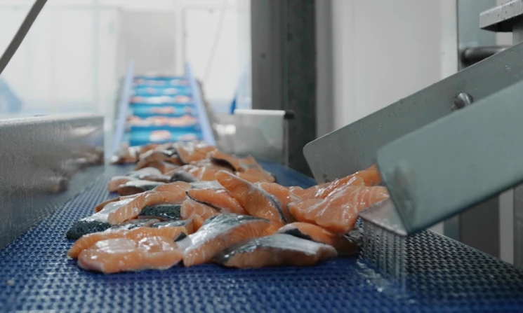 Salmon packaging process