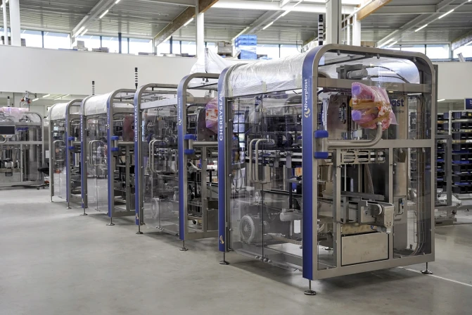 Automated cherry packaging | CherrySeal | Niverplast