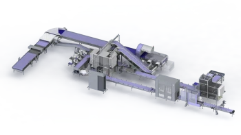 Fischer J large