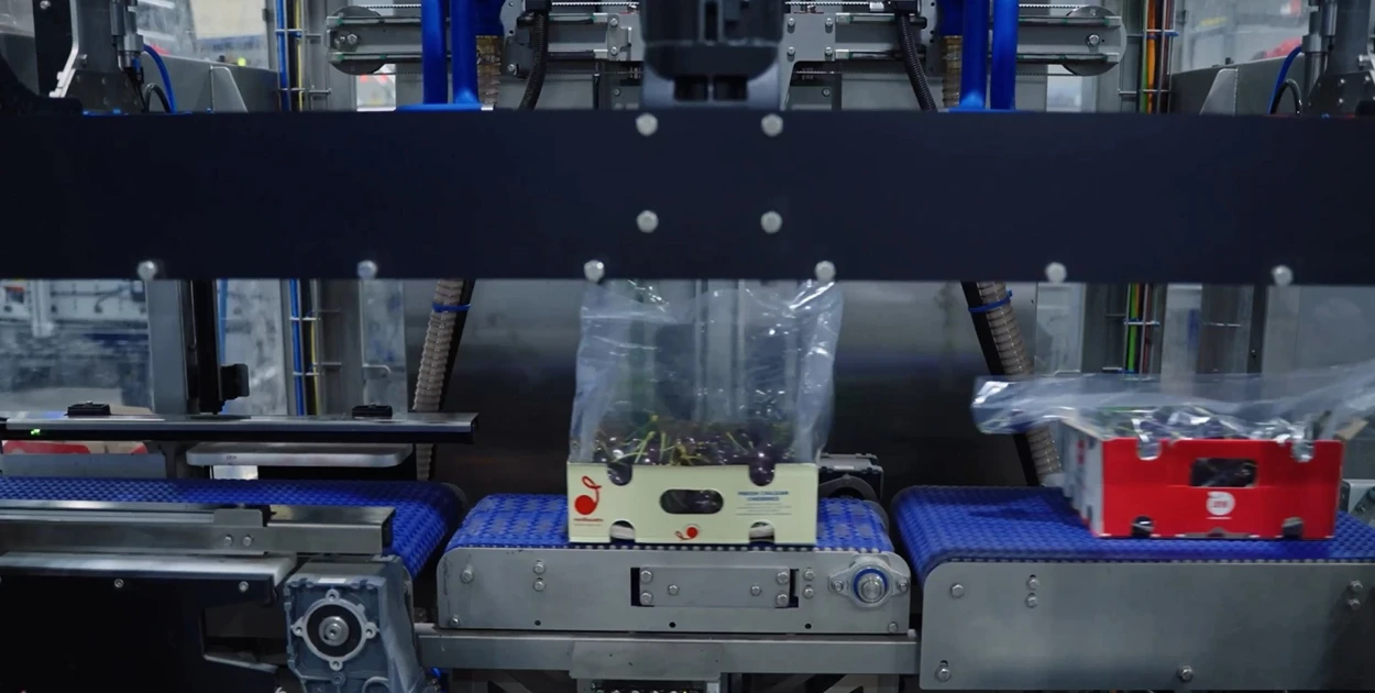 Fruti Zano Cherry packaging automation