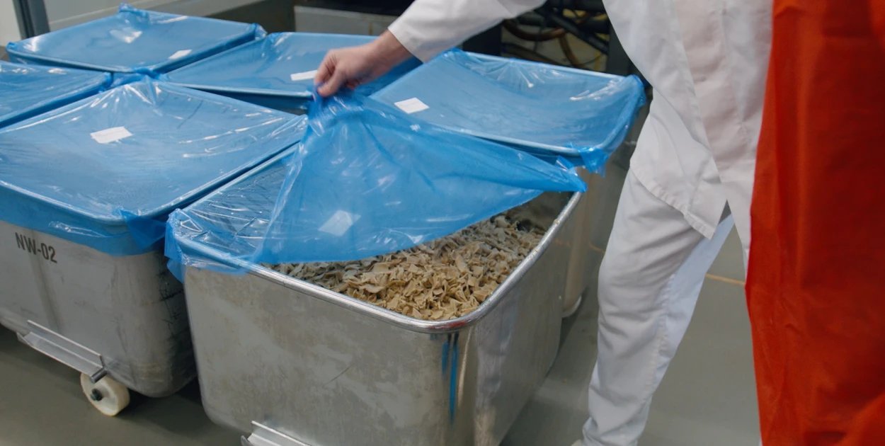 Vegan chicken alternative